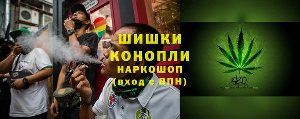 прущие грибы Магадан