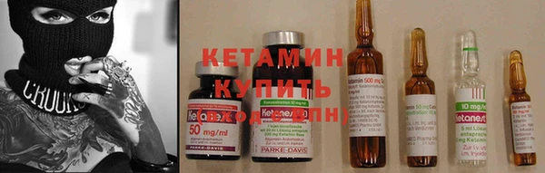 прущие грибы Магадан