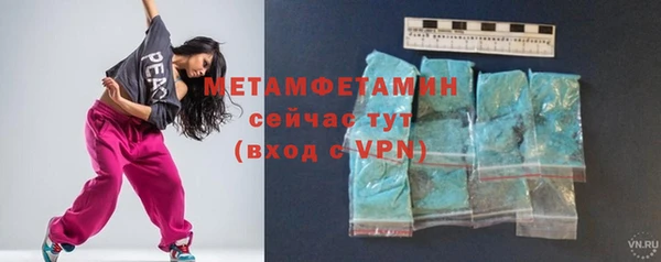 прущие грибы Магадан
