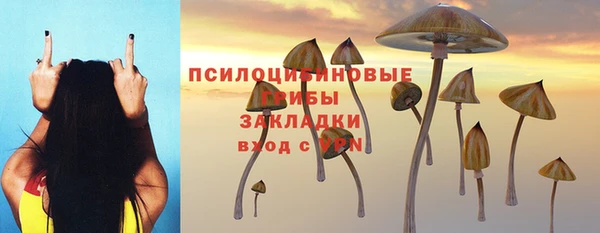гашик Медногорск