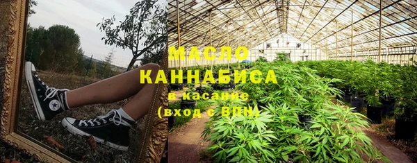 гашик Медногорск