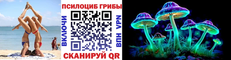 Купить где  Знаменск  Псилоцибиновые грибы Magic Shrooms 